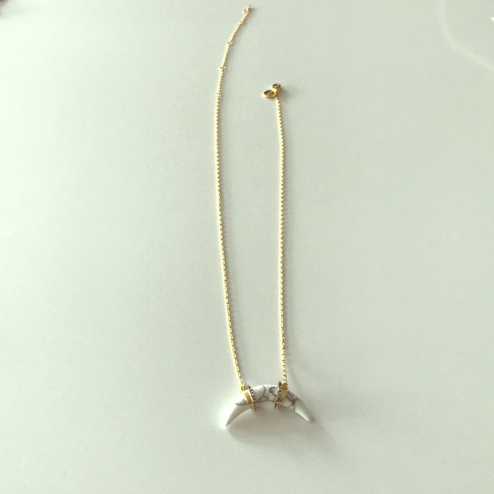 Stella and dot horn necklace